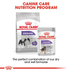 ROYAL CANIN STERILISED X-SMALL Trockenfutter für kastrierte sehr kleine Hunde