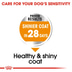 ROYAL CANIN COAT CARE MINI Trockenfutter für kleine Hunde für glänzendes Fell