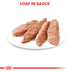 ROYAL CANIN LIGHT WEIGHT CARE Nassfutter für Hunde mit Neigung zu Übergewicht12x85g