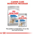 ROYAL CANIN LIGHT WEIGHT CARE Nassfutter für Hunde mit Neigung zu Übergewicht12x85g