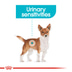 ROYAL CANIN Urinary Care MINI Trockenfutter für kleine Hunde mit empfindlichen Harnwegen
