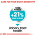ROYAL CANIN Urinary Care MINI Trockenfutter für kleine Hunde mit empfindlichen Harnwegen