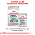 ROYAL CANIN Urinary Care MINI Trockenfutter für kleine Hunde mit empfindlichen Harnwegen