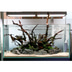 TWINSTAR 2 Aquarium-Sterilisator Nano Plus