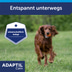Adaptil Halsband für große Hunde