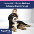 Adaptil Junior Halsband