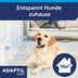 Adaptil Verdampfer Happy Home Start-Set 48ml