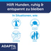 Adaptil Verdampfer Happy Home Start-Set 48ml