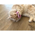 Aumüller Katzenspielkissen Hello Kitty, 2er Set