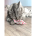 Aumüller Katzenspielkissen Minzini
