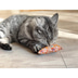 Aumüller Katzenspielkissen Minzini