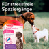 beaphar CaniComfort® Wohlfühl Spot On 3x1ml