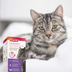beaphar CatComfort Starter-Kit