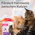 beaphar CatComfort® Wohlfühl Spot-On 3x0,55ml