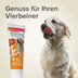 beaphar Multi-Vitamin-Paste für Hunde 250g