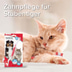 beaphar Zahnbürste für Hunde und Katzen