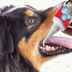 beaphar Zahngel für Hunde und Katzen 100g