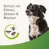 beaphar Zecken- und Flohschutz Halsband für Hunde 65cm