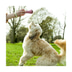 Beco Pets Hundespielzeug Beco Bone pink