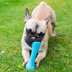 Beco Pets Hundespielzeug Beco Bone pink