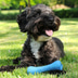 Beco Pets Hundespielzeug Beco Bone pink