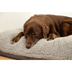 Beeztees orthopädisches Memory Foam Lounge Hundekissen Ruba 100 x 70 cm