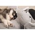 beeztees Puppy XL-Kuschelspielzeug Boomba