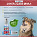 bogadent Zahnpflege-Spray Hund 50 ml