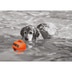 Bomber Hundespielzeug orange