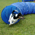 dobar Agility Tunnel 300 cm lang, Ø 50 cm