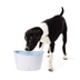 Dogit Trinkbrunnen 6l