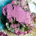 Dupla Marin Reef Former