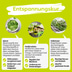 BugMischung Adult grün Spinat & Hanf