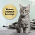 Felisept Home Comfort Raumdiffuser Set für Katzen 45ml