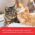 Feliway­­­ Friends Verdampfer Start-Set 48ml