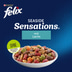 FELIX Seaside Sensations Lachs & Gemüse