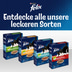FELIX Seaside Sensations Lachs & Gemüse