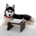 Replus Futterstation Meshidai Einzelnapf schwarz -