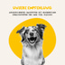 Dogs'n Tiger Mahlzeit! Nassfutter Huhn mit Karotte
