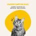 Dogs'n Tiger Schmaus Nassfutter Rind