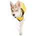 GF Pet Elastofit Regenmantel gelb