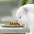 GOURMET Gold Feine Komposition Mixpaket