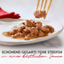 GOURMET Mon Petit Intense Fleisch-Variationen