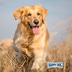 Happy Dog NaturCroq Balance