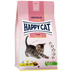 Happy Cat Young Kitten Land Geflügel