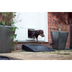 SureFlap Mikrochip Katzenklappe
