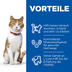 Hill's Science Plan Sterilised Young Thunfisch 10kg