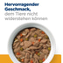 Hill's Prescription Diet c/d MC Ragout Hund Huhn