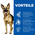 Hill's Science Plan Hund Large Breed Mature Adult 6+ Huhn 14kg