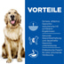 Hill's Science Plan Hund Perfect Weight Large Breed Adult Huhn 12kg